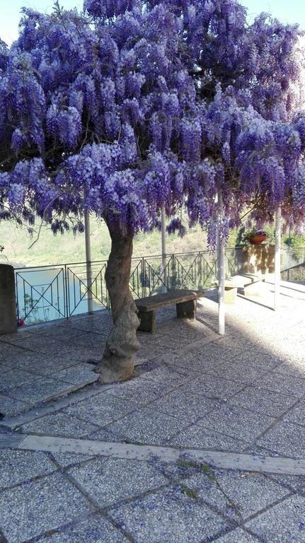 La Casa Di Milady Panzió Genzano di Roma Kültér fotó